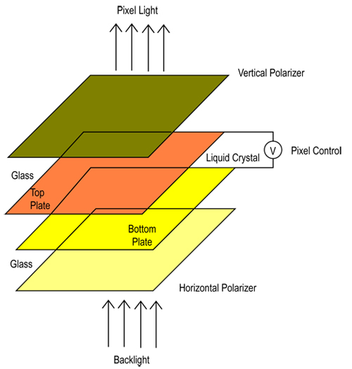 Polarized light is passed through a liquid crystal cell 